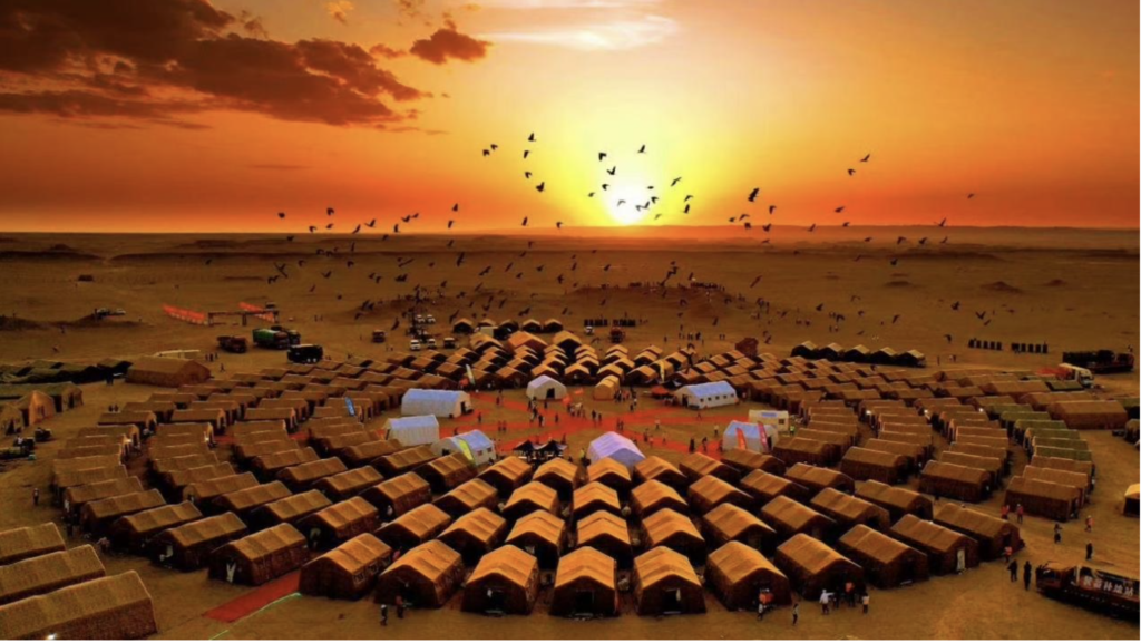 Camps on Gobi Desert in a evening with golden sky