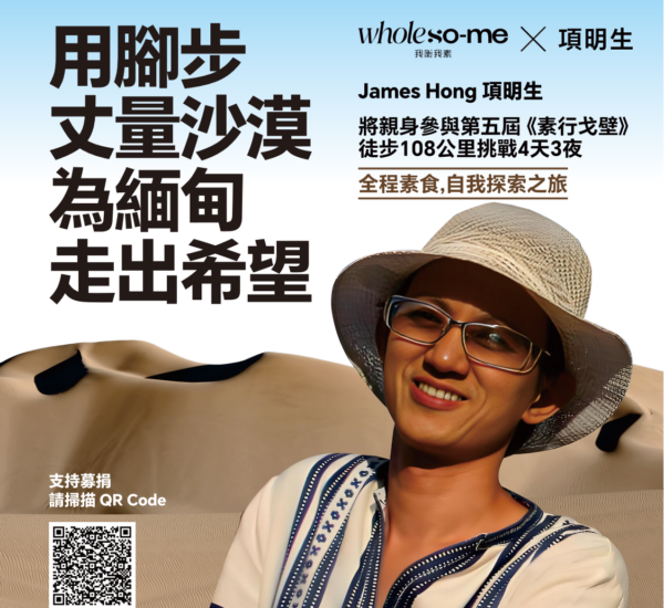 應似飛鴻踏戈壁,聚沙成塔為緬甸 5 f368967cbce839cbf71be850e1b7fa8
